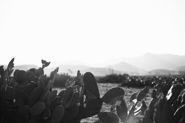 Gedankenkirmes Spanien fotografiert von Richard Lehmann