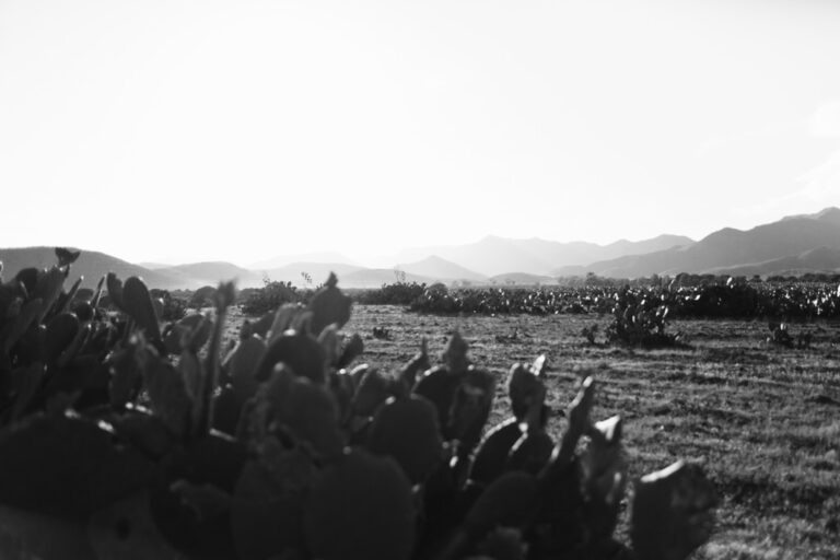 Gedankenkirmes Spanien fotografiert von Richard Lehmann