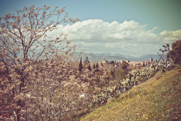 Spanien Granada fotografiert von Richard Lehmann ein Reisebericht