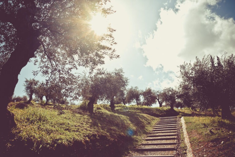 Spanien Granada fotografiert von Richard Lehmann ein Reisebericht