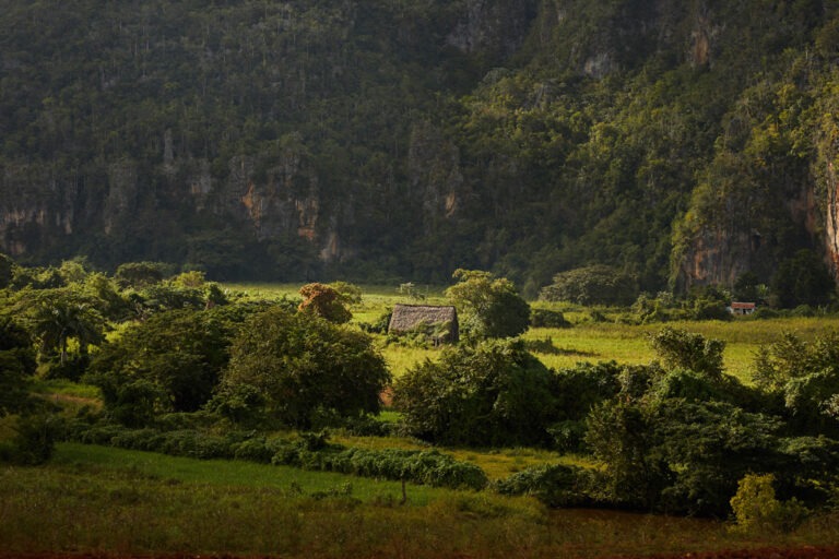 Gedankenkirmes Kuba fotografiert von Richard Lehmann Cuba, Havanna, Vinales, Trinidad,2018