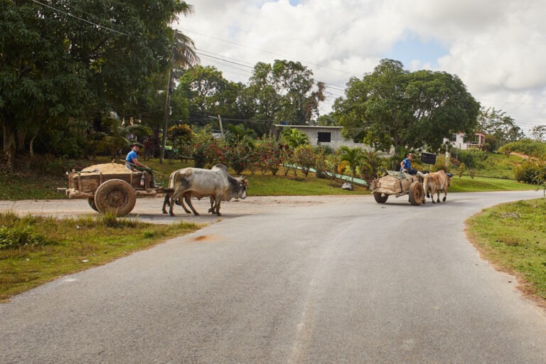 Gedankenkirmes Kuba fotografiert von Richard Lehmann Cuba, Havanna, Vinales, Trinidad,2018
